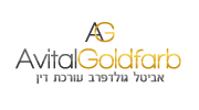 avital-goldfarb-lawyer