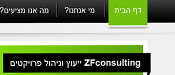 ZFconsulting
